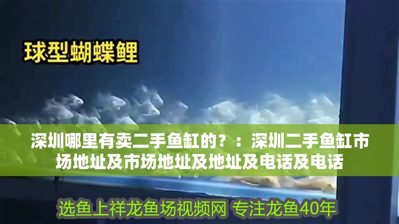 深圳哪里有賣二手魚缸的？：深圳二手魚缸市場地址及市場地址及地址及電話及電話 深圳哪里有賣二手魚缸的？：深圳二手魚缸市場地址及市場地址及地址及電話及電話 魚缸百科