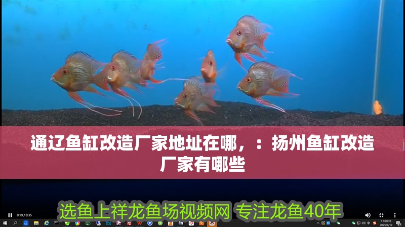 通遼魚缸改造廠家地址在哪，：揚州魚缸改造廠家有哪些
