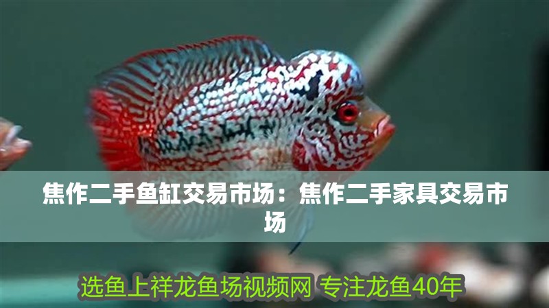 焦作二手魚缸交易市場：焦作二手家具交易市場 焦作二手魚缸交易市場：焦作二手家具交易市場 魚缸百科