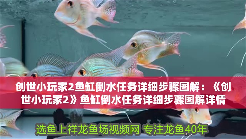 創(chuàng)世小玩家2魚缸倒水任務(wù)詳細(xì)步驟圖解：《創(chuàng)世小玩家2》魚缸倒水任務(wù)詳細(xì)步驟圖解詳情