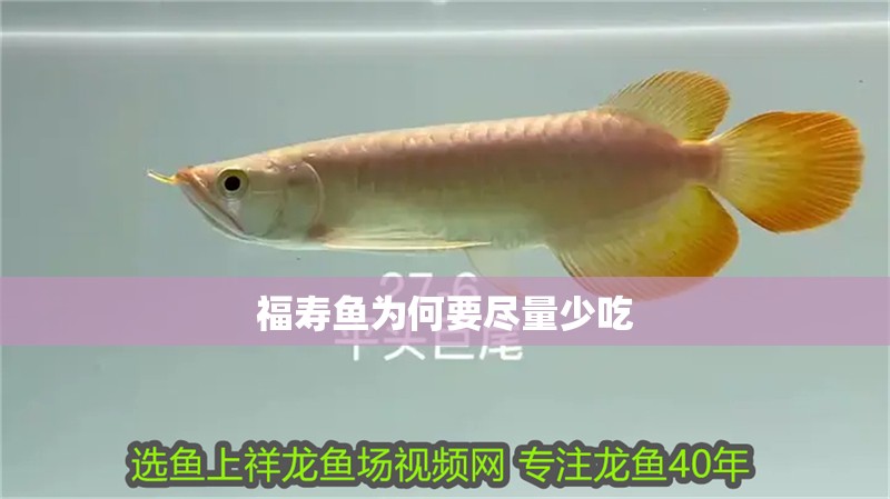 福壽魚為何要盡量少吃 福壽魚為何要盡量少吃 龍魚論壇