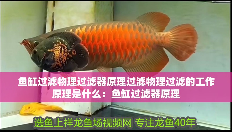 魚缸過濾物理過濾器原理過濾物理過濾的工作原理是什么:魚缸過濾器原理
