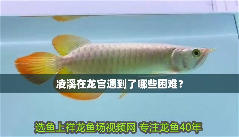 凌溪在龍宮遇到了哪些困難?