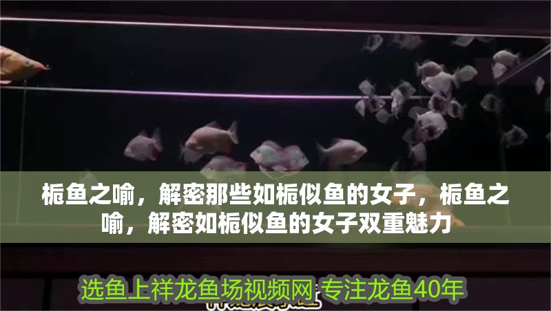 梔魚之喻，解密那些如梔似魚的女子，梔魚之喻，解密如梔似魚的女子雙重魅力