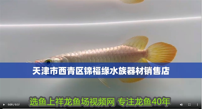 天津市西青區錦福緣水族器材銷售店