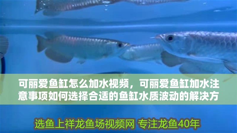 可麗愛魚缸怎么加水視頻，可麗愛魚缸加水注意事項如何選擇合適的魚缸水質波動的解決方法
