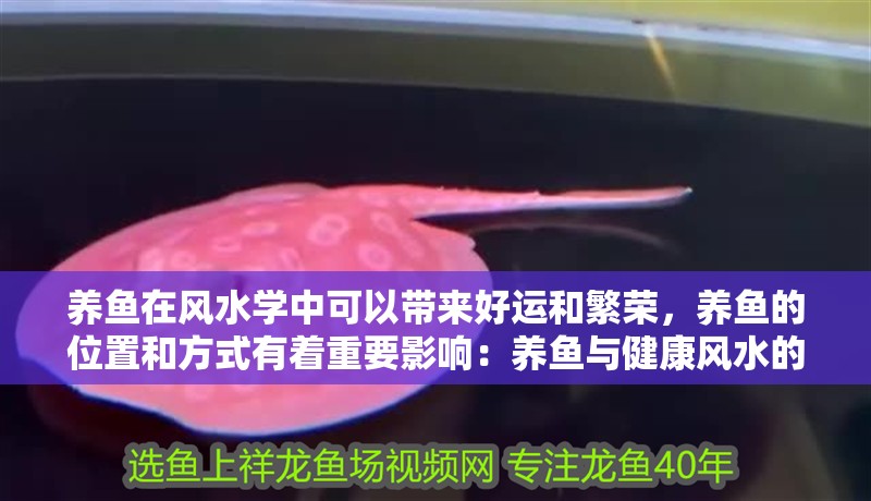養魚在風水學中可以帶來好運和繁榮,養魚的位置和方式有著重要影響:養魚與健康風水的關系