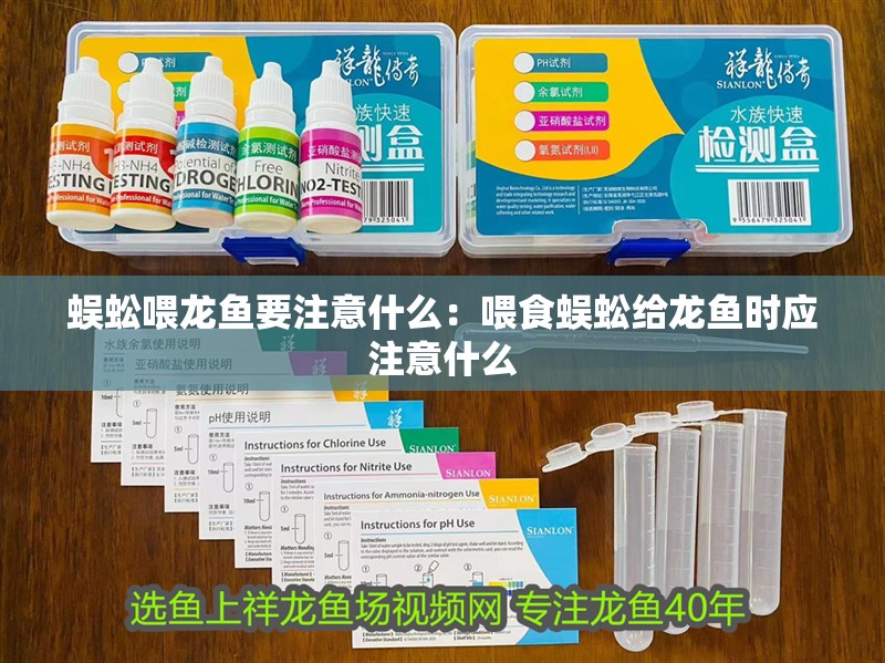 蜈蚣喂龍魚要注意什么：喂食蜈蚣給龍魚時(shí)應(yīng)注意什么