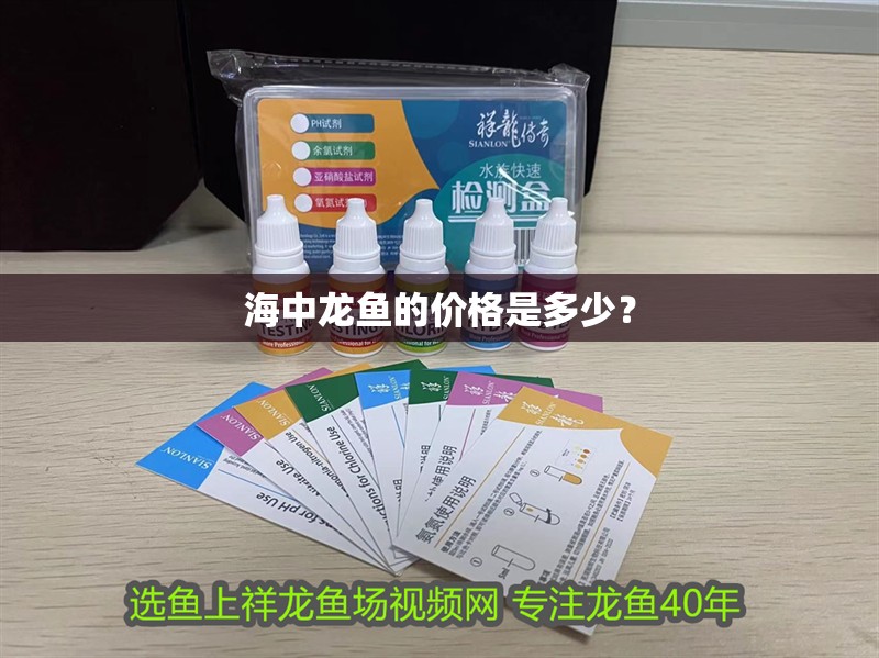 海中龍魚的價格是多少？