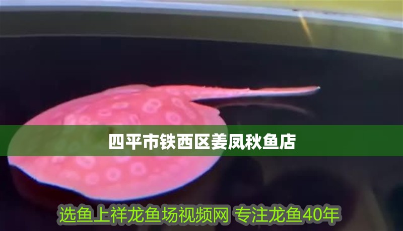 四平市鐵西區(qū)姜鳳秋魚店 四平市鐵西區(qū)姜鳳秋魚店 全國水族館企業(yè)名錄