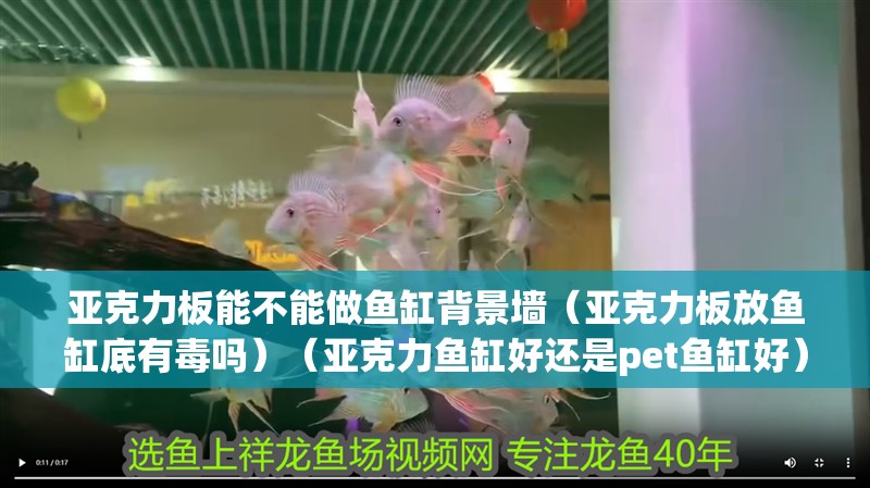 亞克力板能不能做魚缸背景墻（亞克力板放魚缸底有毒嗎）（亞克力魚缸好還是pet魚缸好）