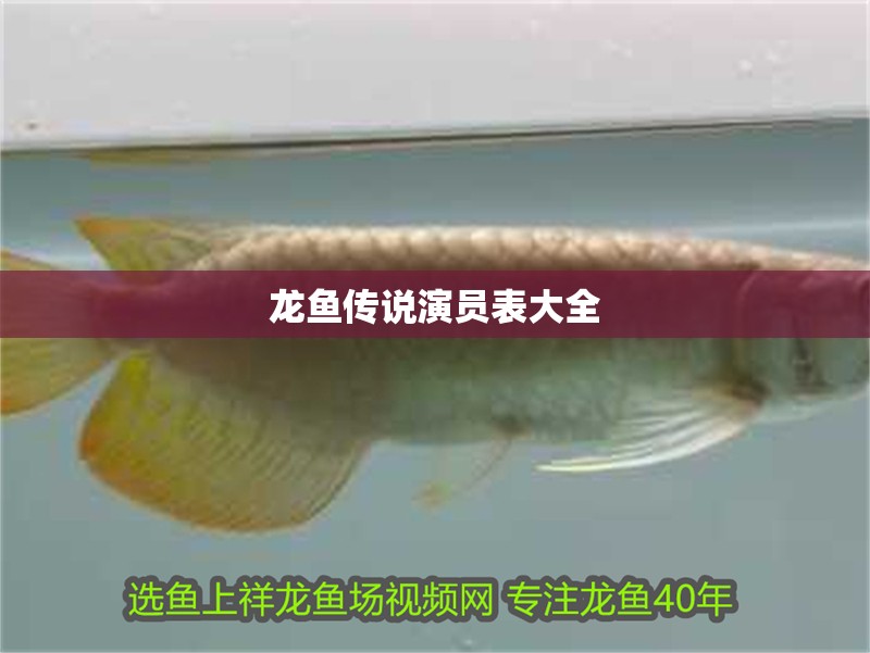 龍魚傳說(shuō)演員表大全