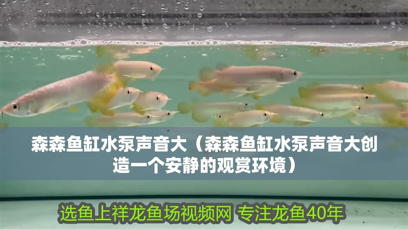 森森魚缸水泵聲音大(森森魚缸水泵聲音大創(chuàng)造一個安靜的觀賞環(huán)境)