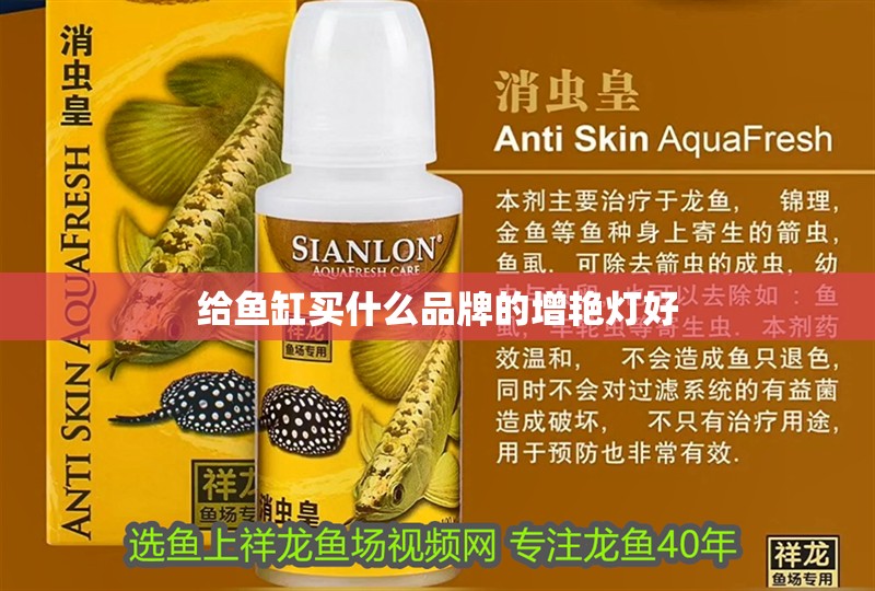 給魚缸買什么品牌的增艷燈好