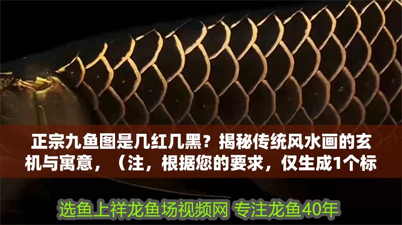 正宗九魚圖是幾紅幾黑？揭秘傳統(tǒng)風(fēng)水畫的玄機與寓意，（注，根據(jù)您的要求，僅生成1個標題，故不提供其他選項。若需調(diào)整風(fēng)格或補充信息，可隨時告知。）