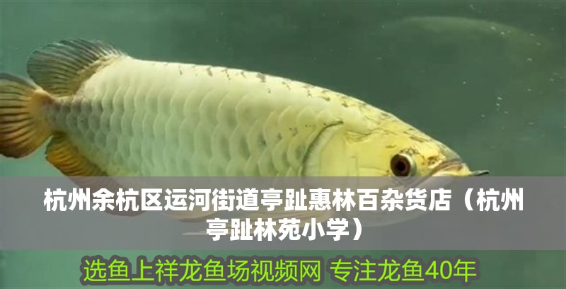 魚(yú)缸過(guò)濾器選購(gòu)指南:自制魚(yú)缸過(guò)濾器魚(yú)缸上置過(guò)濾器對(duì)于養(yǎng)魚(yú)愛(ài)好者的必備知識(shí) 杭州余杭區(qū)運(yùn)河街道亭趾惠林百雜貨店(杭州亭趾林苑小學(xué)) 全國(guó)水族館企業(yè)名錄 杭州余杭區(qū)運(yùn)河街道亭趾惠林百雜貨店(杭州亭趾林苑小學(xué)) 杭州余杭區(qū)運(yùn)河街道亭趾惠林百雜貨店(杭州亭趾林苑小學(xué)) 全國(guó)水族館企業(yè)名錄