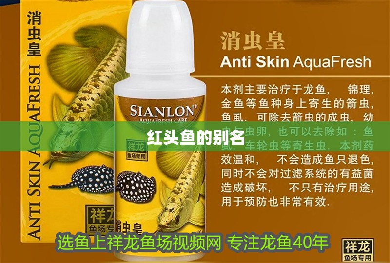 魚缸用增氧泵價(jià)格是多少:魚缸增氧機(jī)-xtrac增氧機(jī)-xtrac增氧機(jī) 紅頭魚的別名 龍魚論壇 紅頭魚的別名 紅頭魚的別名 龍魚論壇