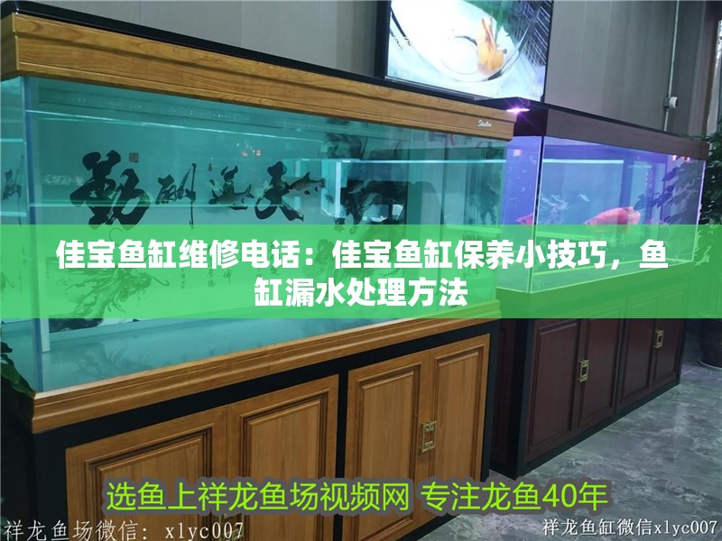 佳寶魚缸維修電話:佳寶魚缸保養小技巧,魚缸漏水處理方法
