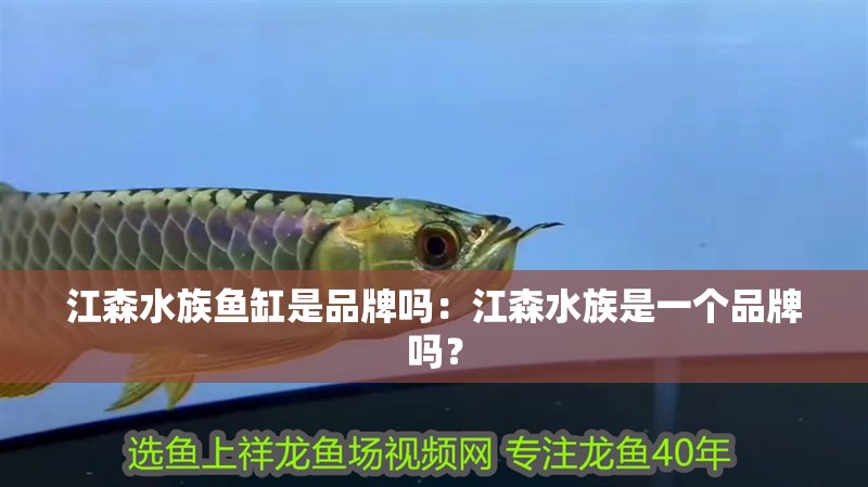 江森水族魚缸是品牌嗎：江森水族是一個品牌嗎？ 江森水族魚缸是品牌嗎：江森水族是一個品牌嗎？ 魚缸百科
