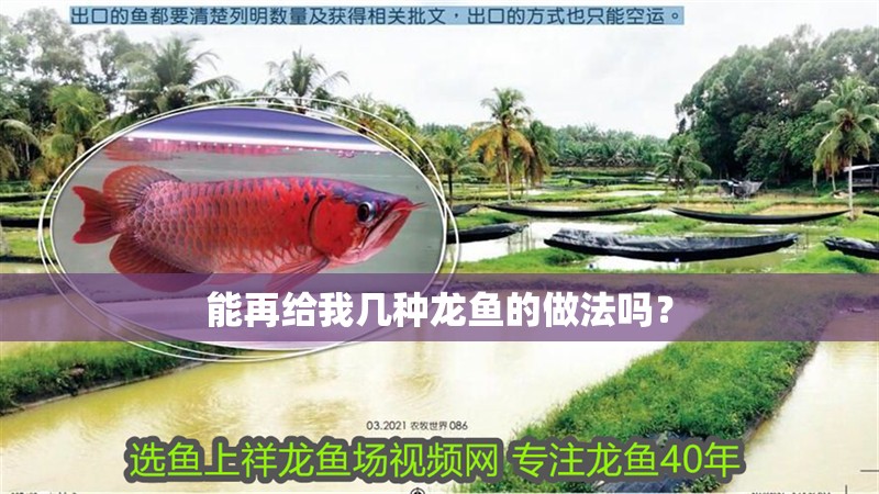 能再給我?guī)追N龍魚的做法嗎?