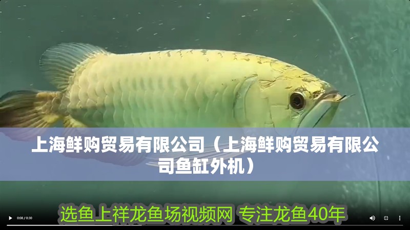 上海鮮購貿(mào)易有限公司（上海鮮購貿(mào)易有限公司魚缸外機）