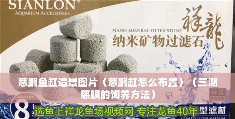 慈鯛魚缸造景圖片(慈鯛缸怎么布置)(三湖慈鯛的飼養(yǎng)方法)