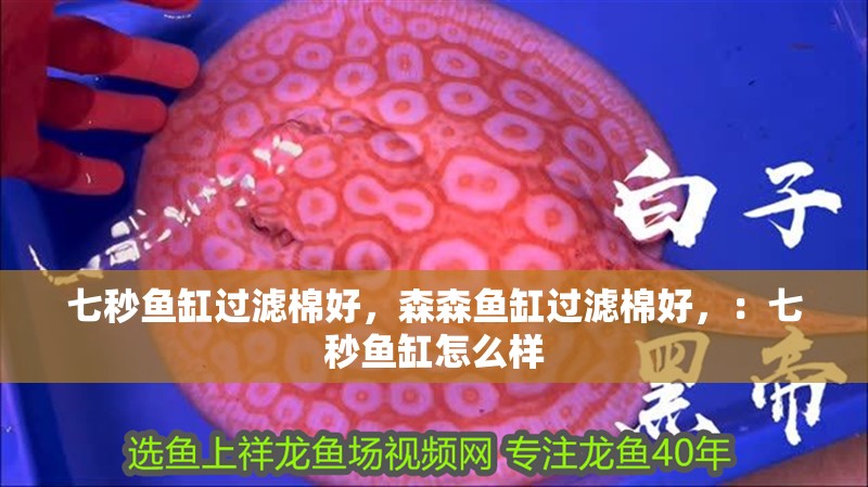 七秒魚缸過濾棉好，森森魚缸過濾棉好，：七秒魚缸怎么樣