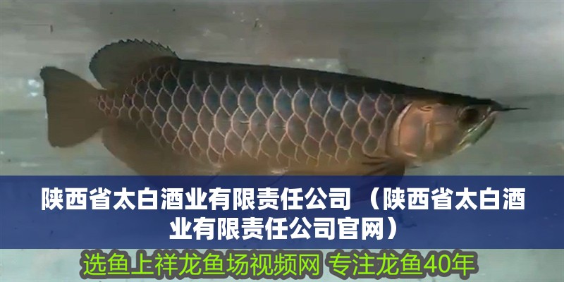 陜西省太白酒業有限責任公司 （陜西省太白酒業有限責任公司官網）