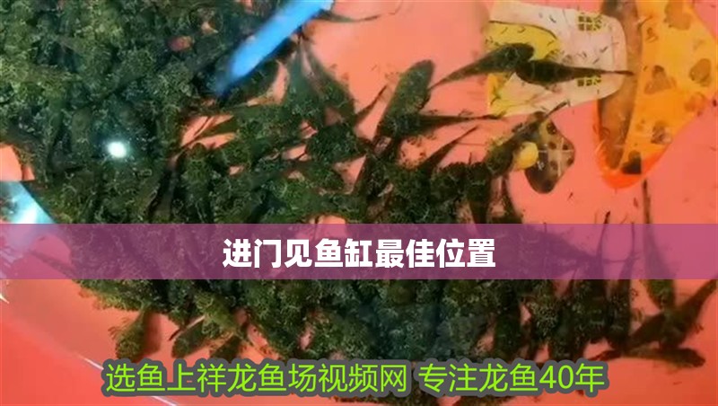 進(jìn)門見魚缸最佳位置