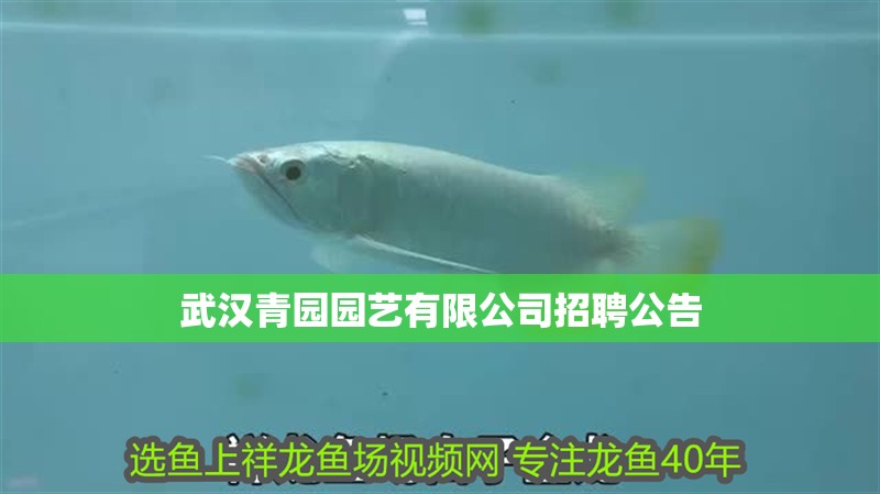 武漢青園園藝有限公司招聘公告