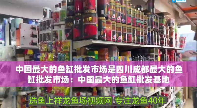 中國(guó)最大的魚缸批發(fā)市場(chǎng)是<strong><mark>四川</mark></strong>成都最大的魚缸批發(fā)市場(chǎng)：中國(guó)最大的魚缸批發(fā)基地