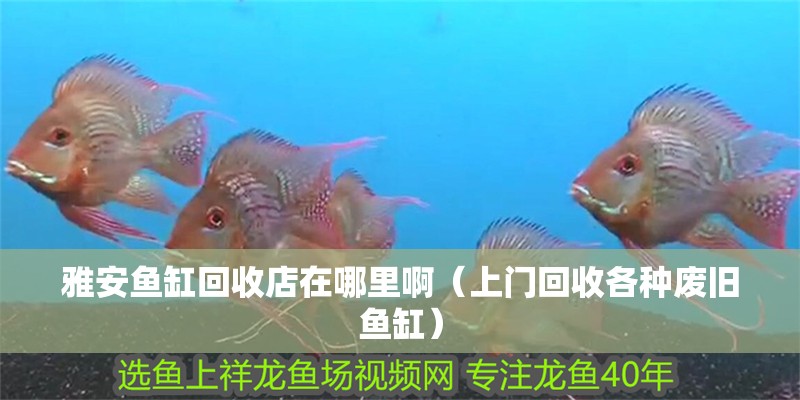 魚缸用增氧泵價格是多少:魚缸增氧機-xtrac增氧機-xtrac增氧機 雅安魚缸回收店在哪里啊(上門回收各種廢舊魚缸) 龍魚百科 雅安魚缸回收店在哪里啊(上門回收各種廢舊魚缸) 雅安魚缸回收店在哪里啊(上門回收各種廢舊魚缸) 龍魚百科