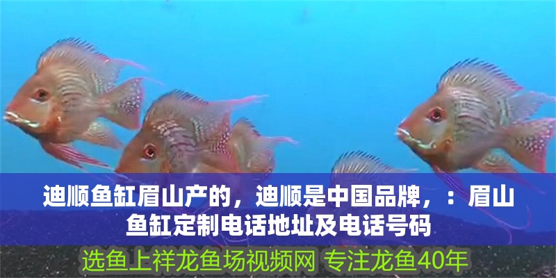 龍魚干蝦有營養嗎 迪順魚缸眉山產的,迪順是中國品牌,:眉山魚缸定制電話地址及電話號碼 魚缸百科 迪順魚缸眉山產的,迪順是中國品牌,:眉山魚缸定制電話地址及電話號碼 迪順魚缸眉山產的,迪順是中國品牌,:眉山魚缸定制電話地址及電話號碼 魚缸百科