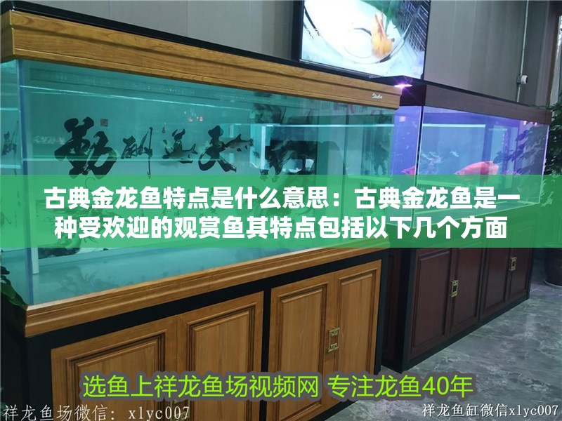 古典金龍魚特點是什么意思：古典金龍魚是一種受歡迎的觀賞魚其特點包括以下幾個方面