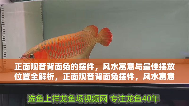 正面觀音背面兔的擺件，風(fēng)水寓意與最佳擺放位置全解析，正面觀音背面兔擺件，風(fēng)水寓意與最佳擺放位置詳解 正面觀音背面兔的擺件，風(fēng)水寓意與最佳擺放位置全解析，正面觀音背面兔擺件，風(fēng)水寓意與最佳擺放位置詳解 龍魚百科 第1張