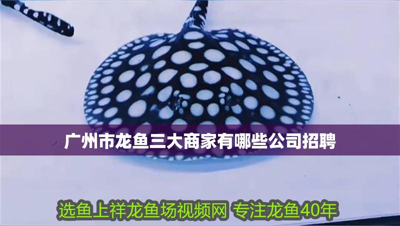 廣州市龍魚三大商家有哪些公司招聘