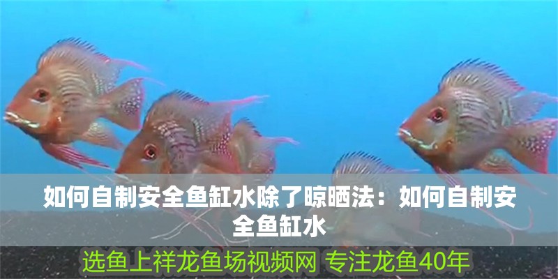 如何自制安全魚缸水除了晾曬法：如何自制安全魚缸水