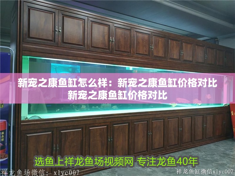 新寵之康魚缸怎么樣：新寵之康魚缸價格對比新寵之康魚缸價格對比