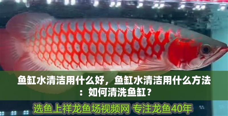 印尼虎魚多少溫度飼養最好:印尼虎魚多少溫度飼養最好印尼虎魚多少溫度飼養最好 魚缸水清潔用什么好,魚缸水清潔用什么方法:如何清洗魚缸? 魚缸百科 魚缸水清潔用什么好,魚缸水清潔用什么方法:如何清洗魚缸? 魚缸水清潔用什么好,魚缸水清潔用什么方法:如何清洗魚缸? 魚缸百科