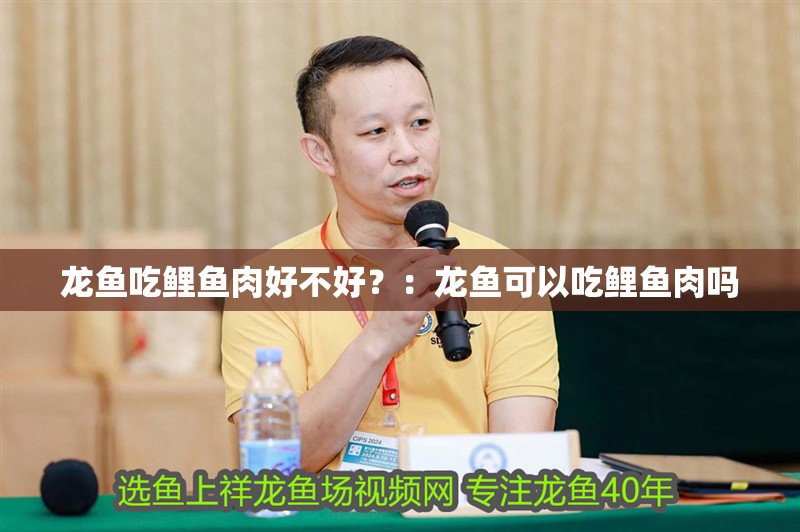 龍魚吃鯉魚肉好不好？：龍魚可以吃鯉魚肉嗎