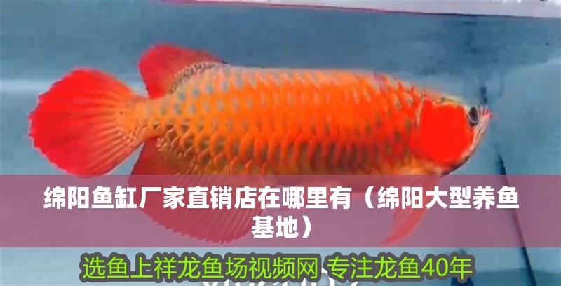綿陽魚缸廠家直銷店在哪里有（綿陽大型養魚基地）