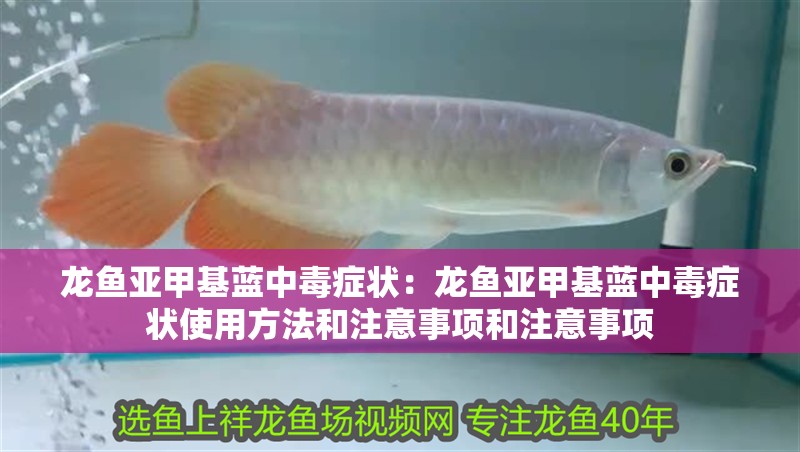 龍魚亞甲基藍(lán)中毒癥狀:龍魚亞甲基藍(lán)中毒癥狀使用方法和注意事項(xiàng)和注意事項(xiàng)