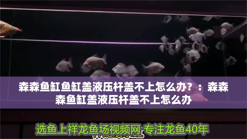 森森魚缸魚缸蓋液壓桿蓋不上怎么辦？：森森森魚缸蓋液壓桿蓋不上怎么辦 森森魚缸魚缸蓋液壓桿蓋不上怎么辦？：森森森魚缸蓋液壓桿蓋不上怎么辦 魚缸百科