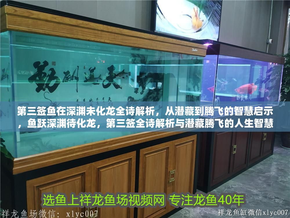 第三簽魚在深淵未化龍全詩解析，從潛藏到騰飛的智慧啟示，魚躍深淵待化龍，第三簽全詩解析與潛藏騰飛的人生智慧