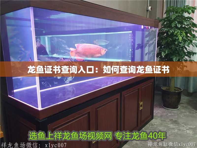 龍魚證書查詢入口：如何查詢龍魚證書