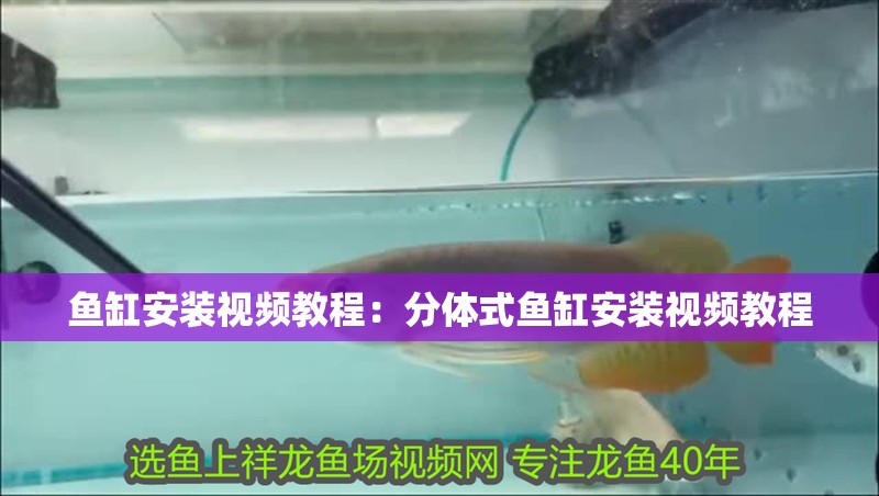 魚缸安裝視頻教程：分體式魚缸安裝視頻教程