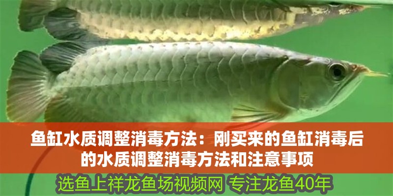 魚缸水質調整消毒方法：剛買來的魚缸消毒后的水質調整消毒方法和注意事項