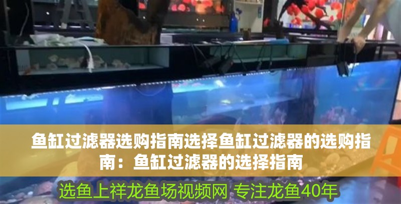 魚缸過濾器選購指南選擇魚缸過濾器的選購指南：魚缸過濾器的選擇指南