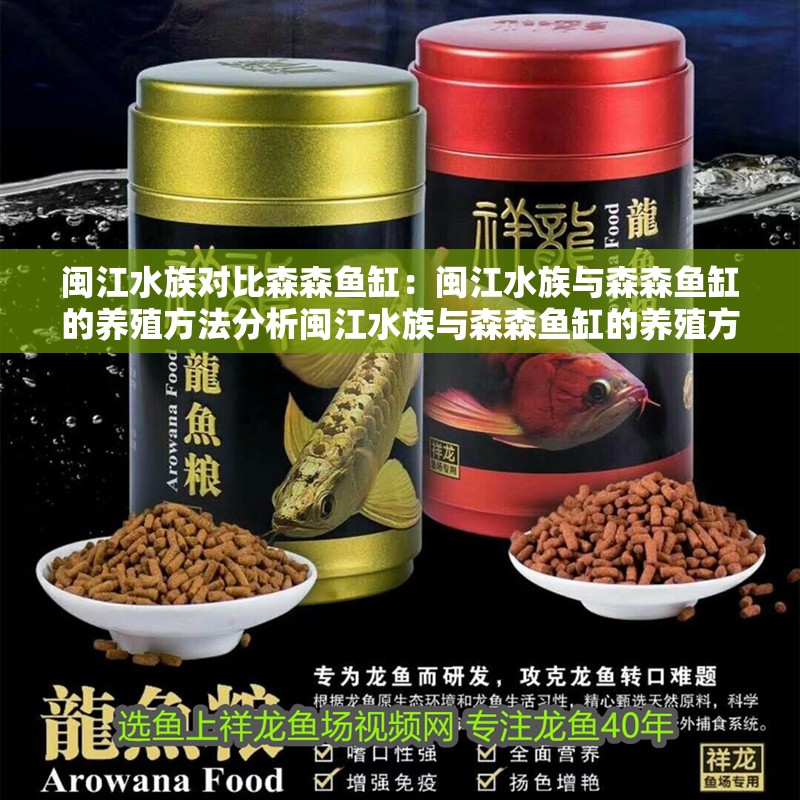 閩江水族對比森森魚缸：閩江水族與森森魚缸的養(yǎng)殖方法分析閩江水族與森森魚缸的養(yǎng)殖方法