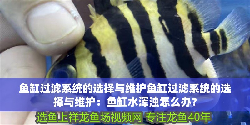 魚缸過濾系統的選擇與維護魚缸過濾系統的選擇與維護：魚缸水渾濁怎么辦？